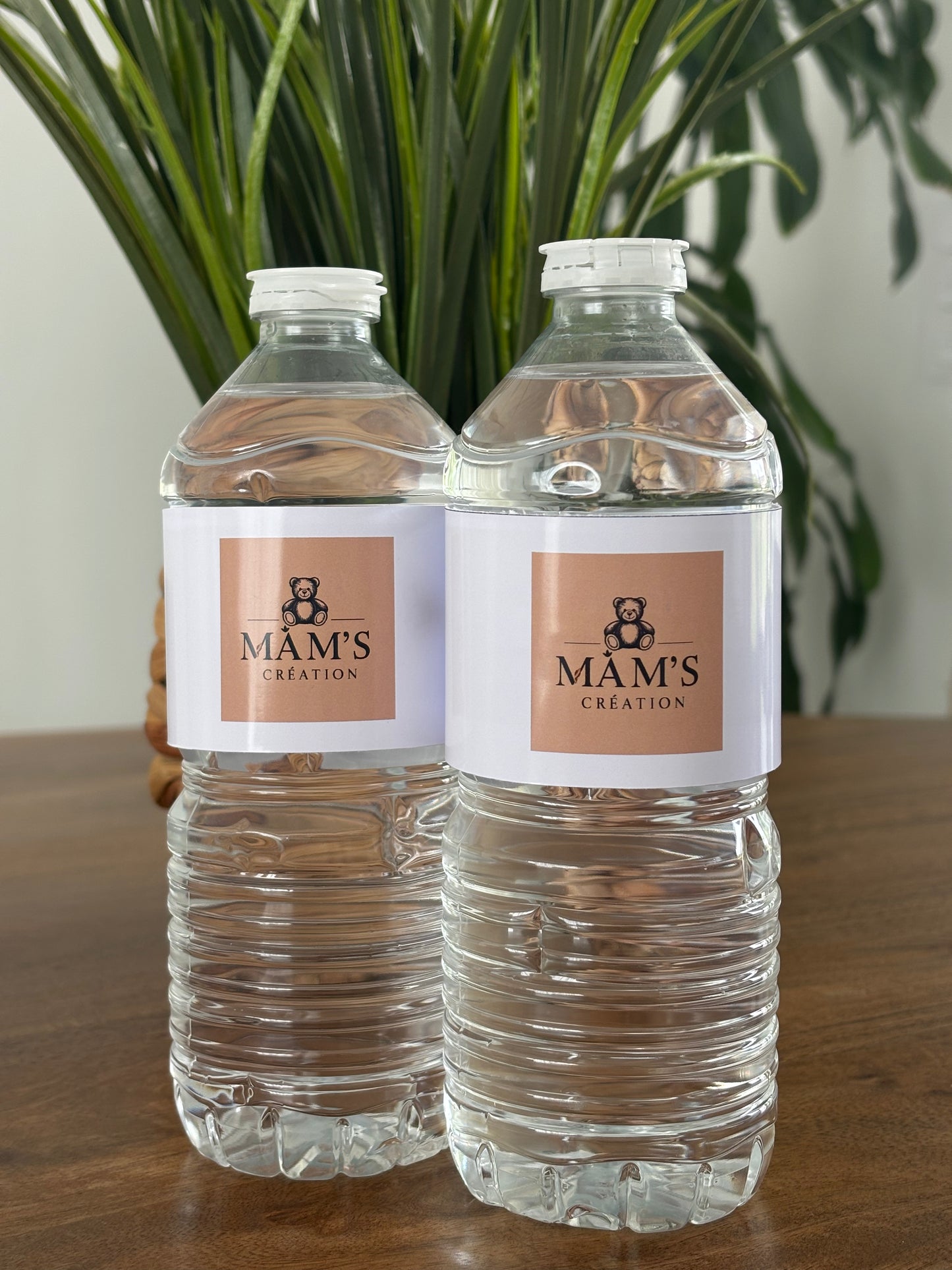 Bouteille d’eau